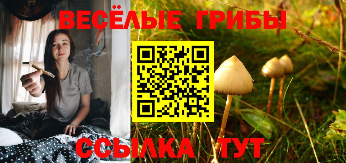 Галлюциногенные грибы Psilocybine cubensis  Вход с VPN  Магнитогорск 